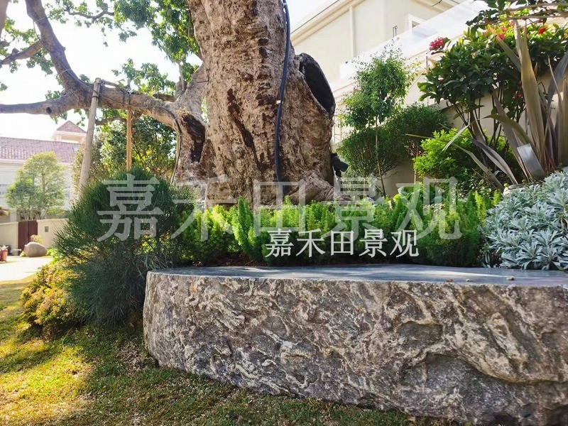 樹木在園林景觀設(shè)計中有哪些作用？